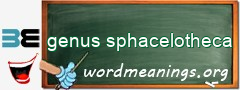 WordMeaning blackboard for genus sphacelotheca